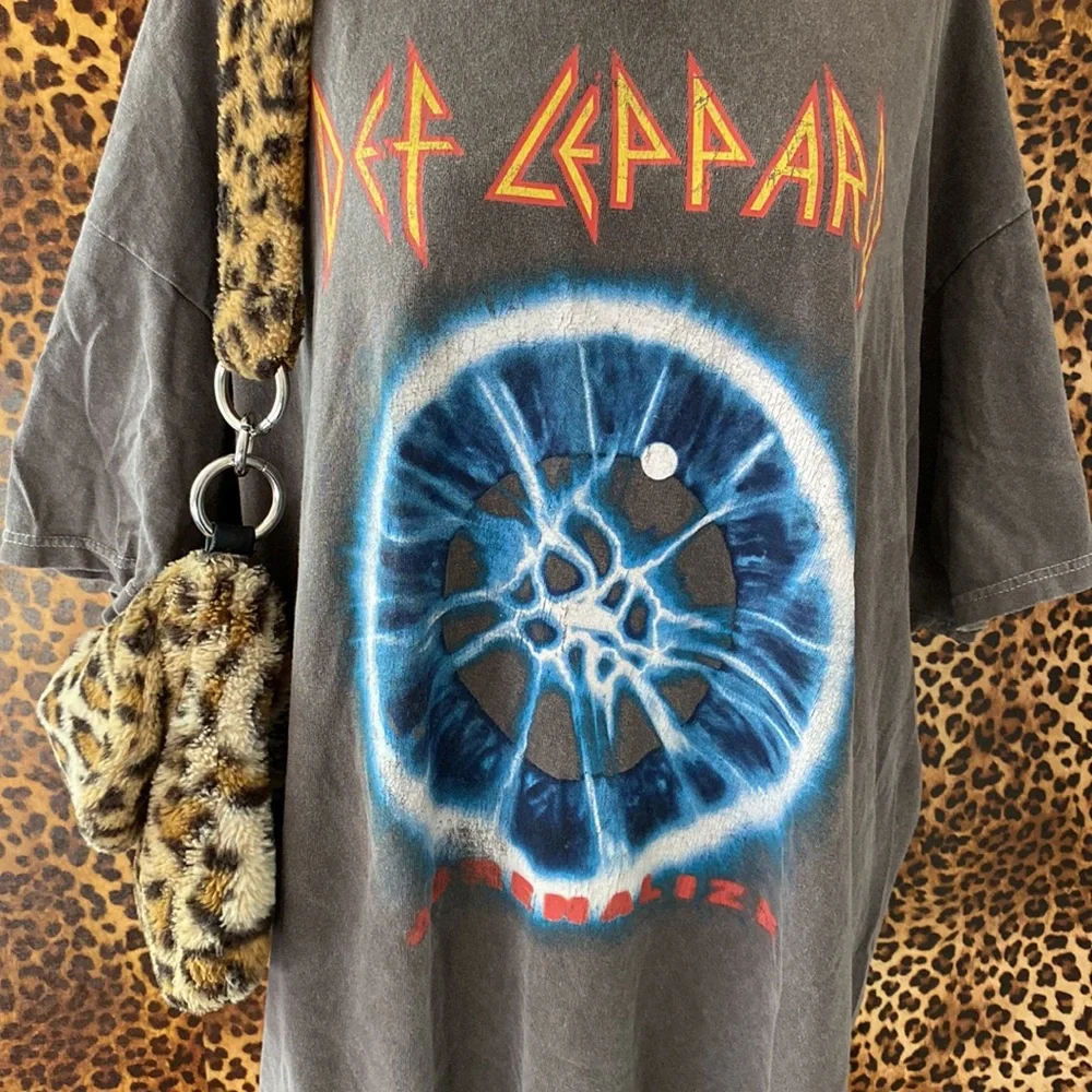 Def Leppard - Picture 6 of 11